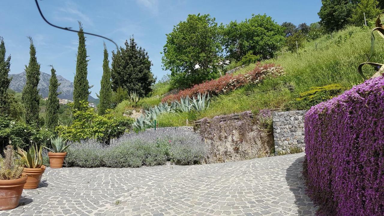 Ancient Estate "Il Trignano" Villa Vietri sul Mare Exterior photo